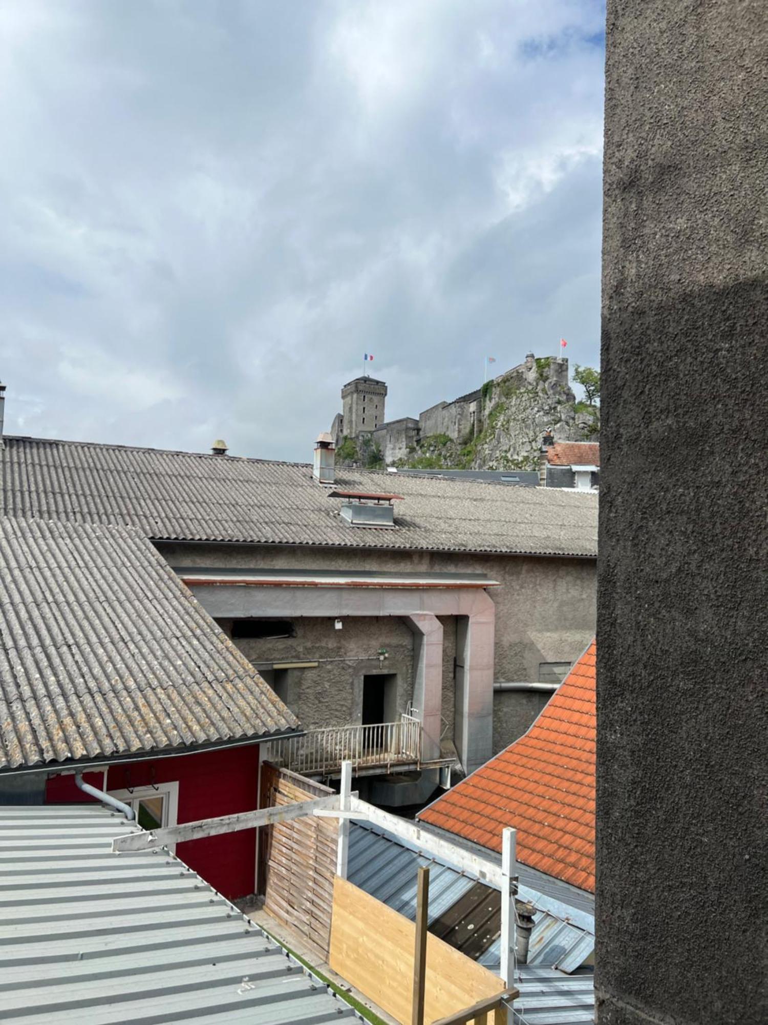 Residence Sainte Therese - La Villa Selva Lourdes Eksteriør bilde