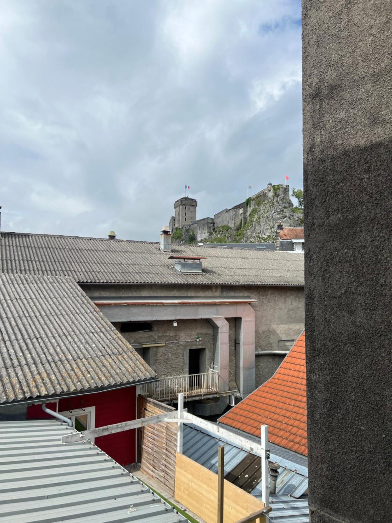 Residence Sainte Therese - La Villa Selva Lourdes Eksteriør bilde